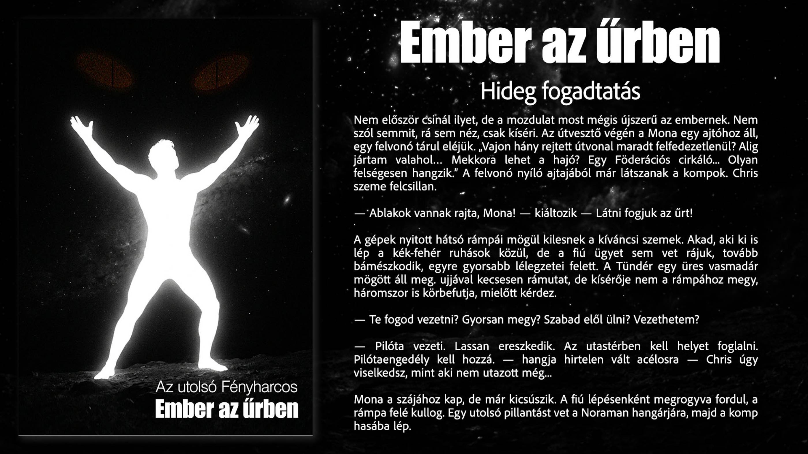 Hideg fogadtatás borító