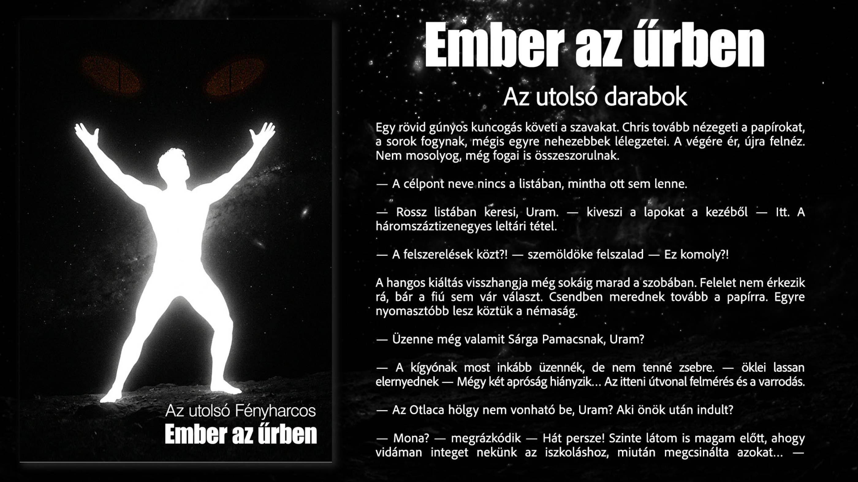 Az utolsó darabok borító