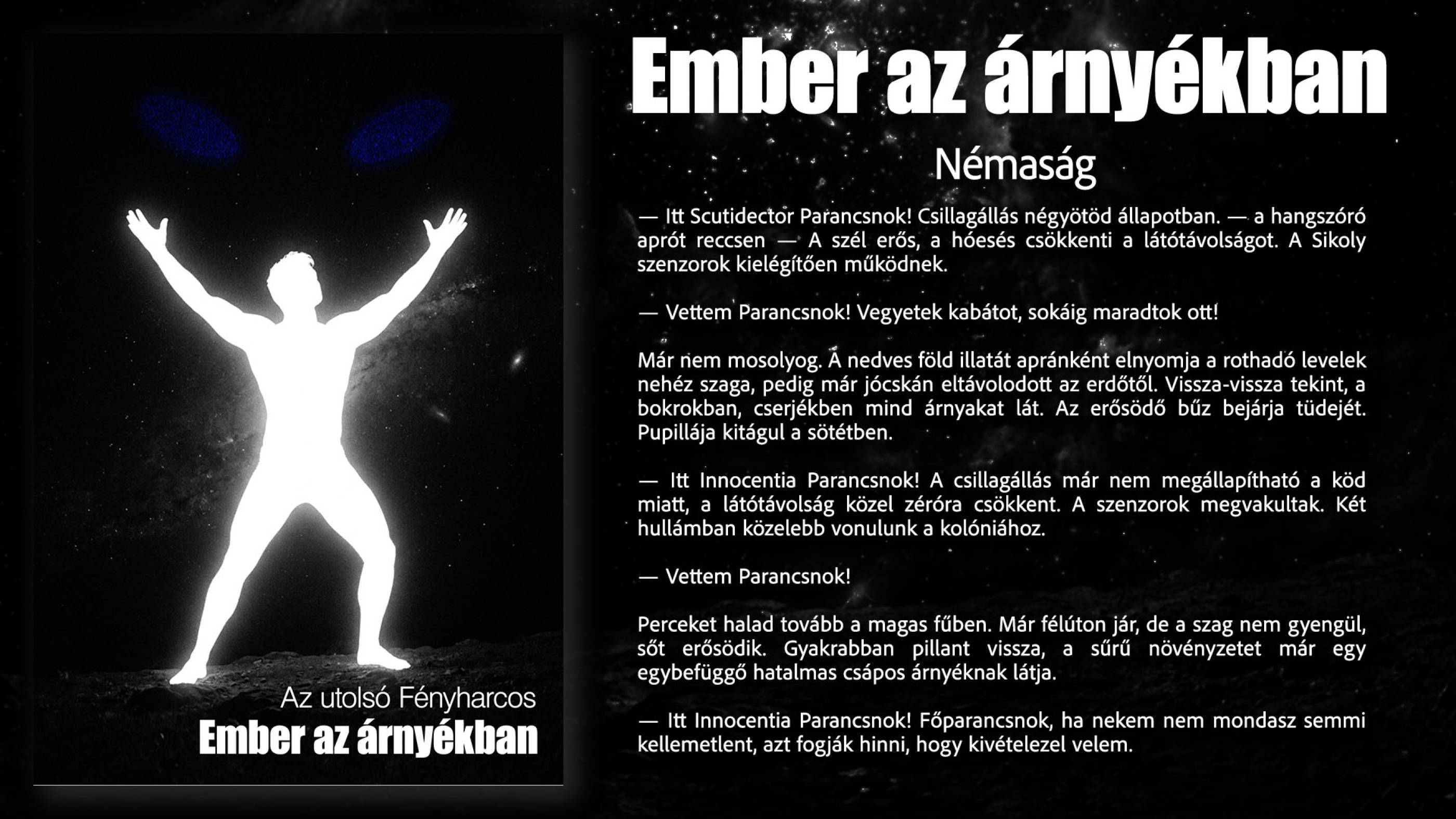 Némaság borító