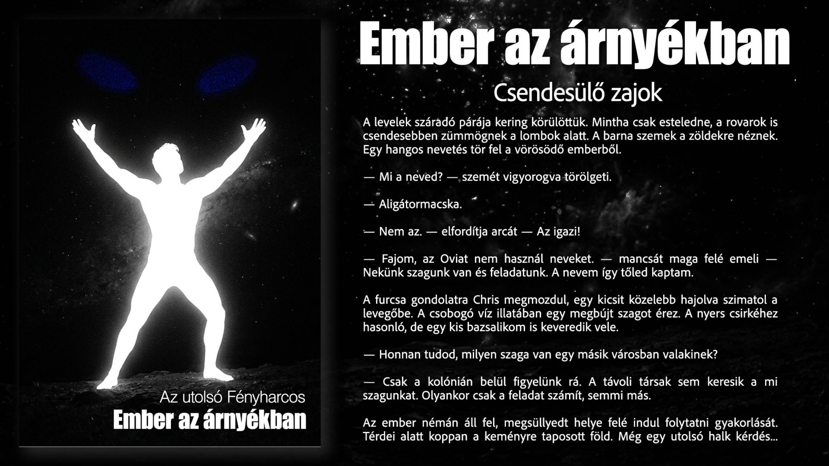 Csendesülő zajok borító