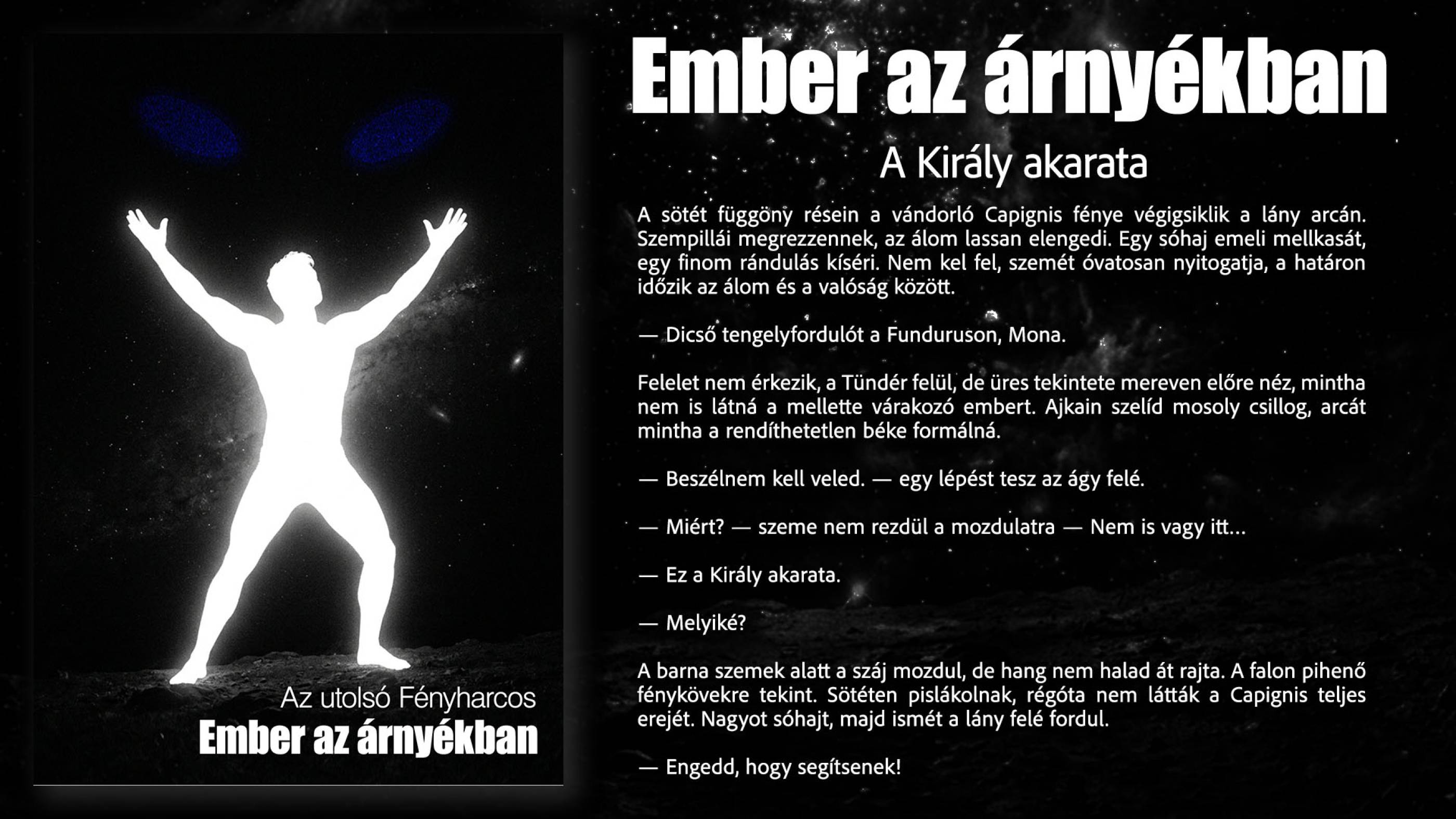 A Király akarata borító