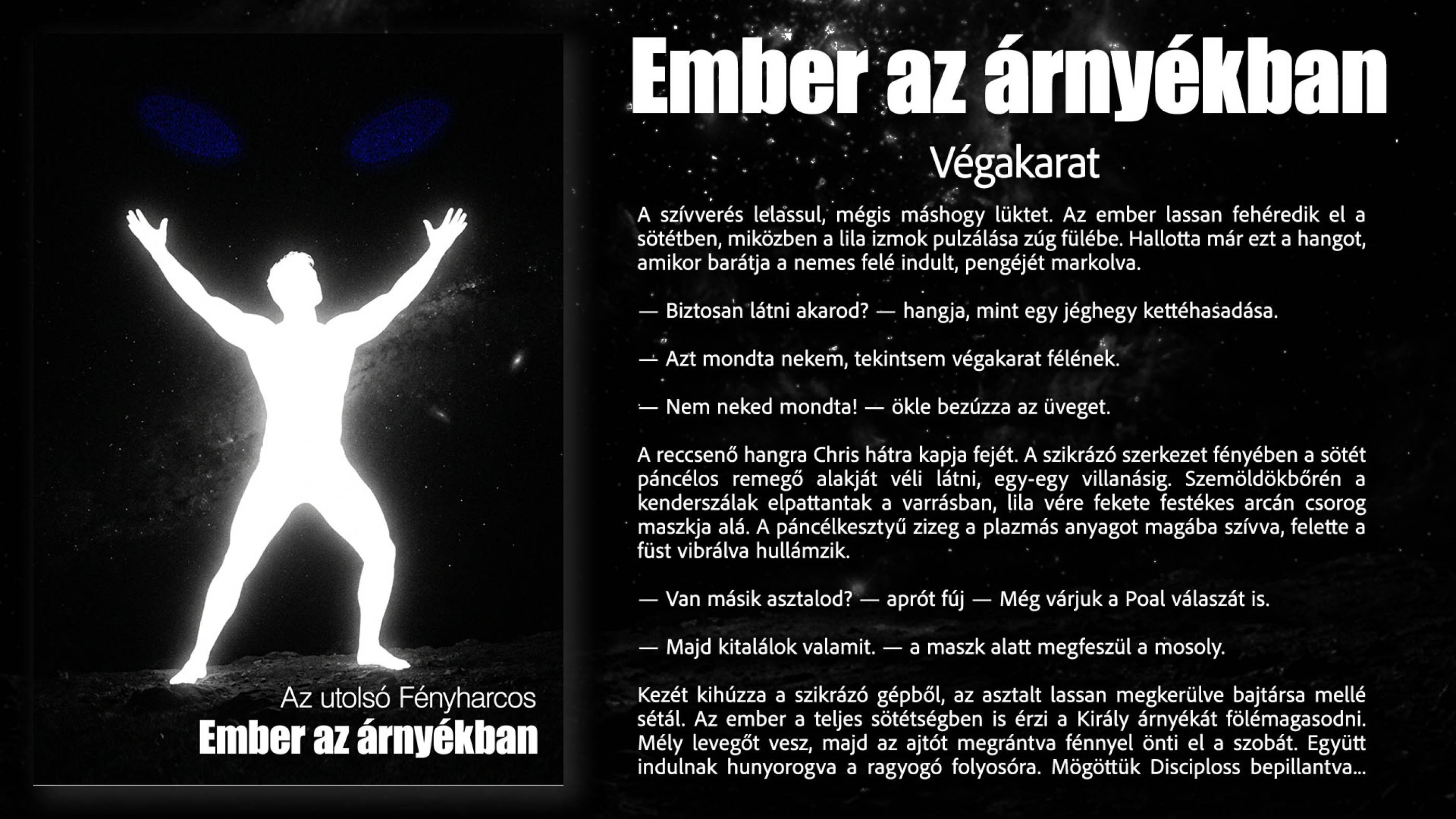 Végakarat borító